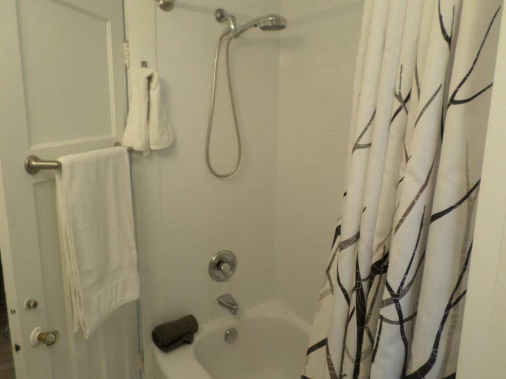 Appartamento Beautiful, Clean, Quiet 2 Br-In Downtown Ottawa. Parking, Wifi And Netflix Included Esterno foto